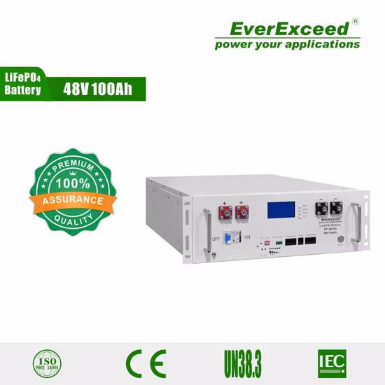 Everexceed 6000+ Cycle Times 48V 100ah Rechargeable LiFePO4 Lithium Ion Solar Battery