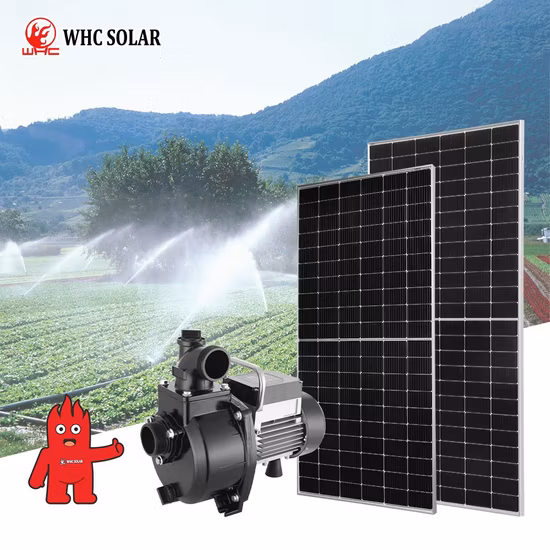 High Pressure 24V 48V 72V 110V Solar System Clean Energy Centrifugal Agricultural Irrigation DC Solar Submersible Water Pump